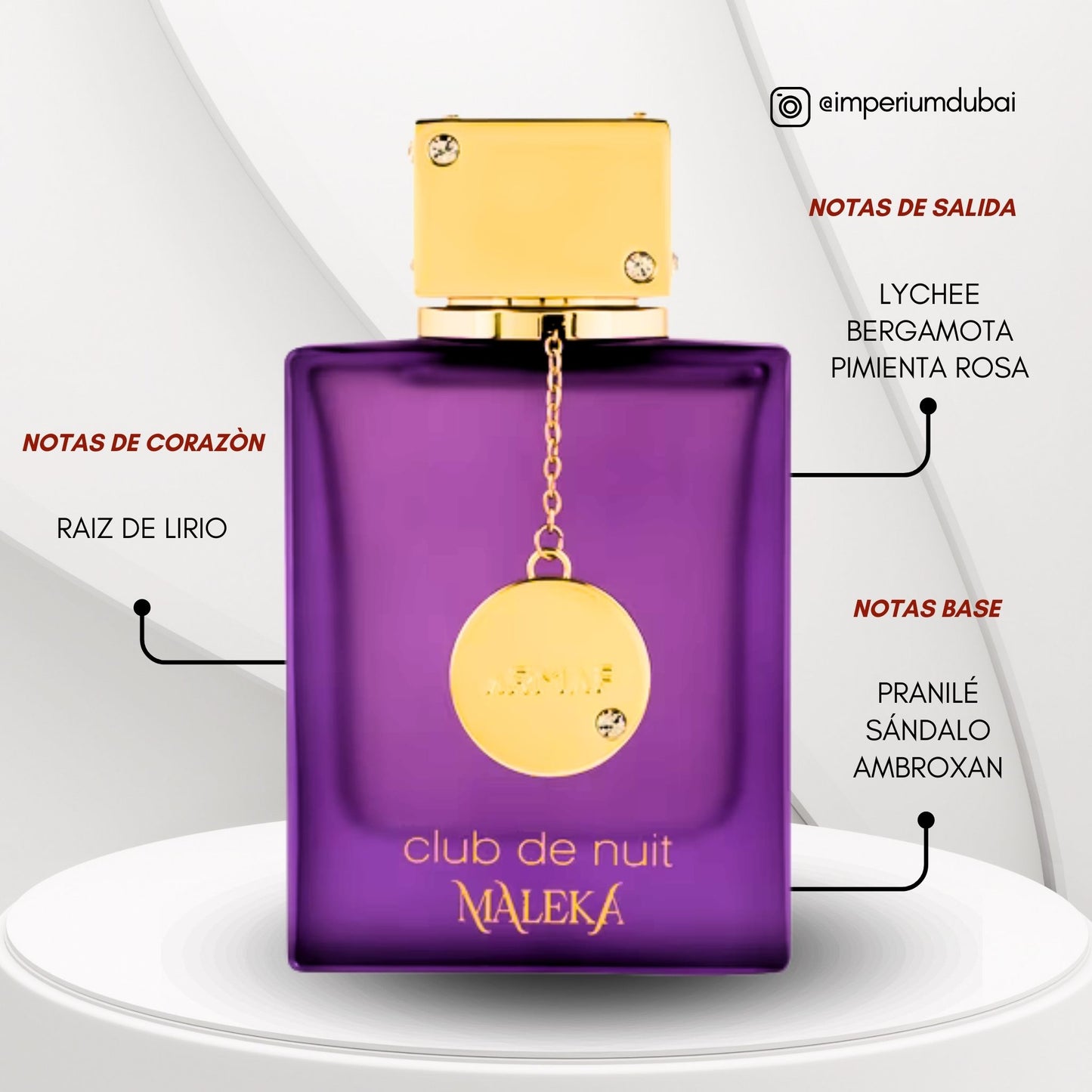 CLUB DE NUIT MALEKA